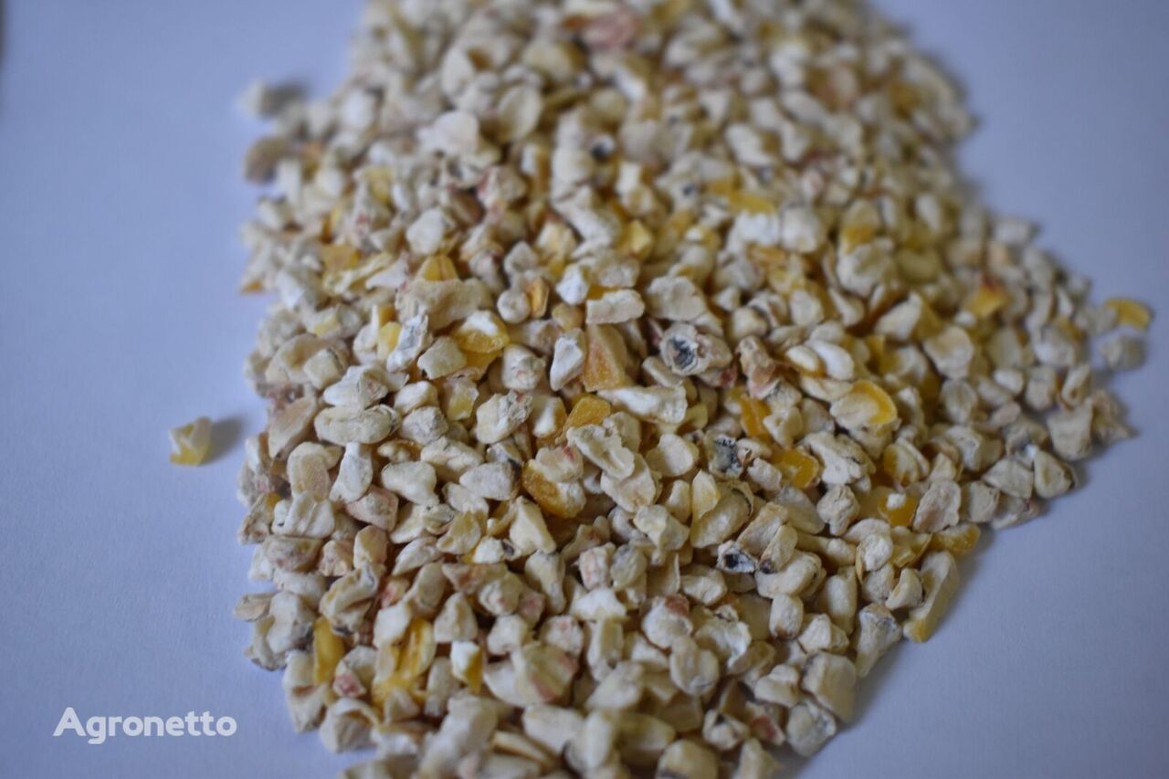 Зародыши кукурузы как кормовая добавка в животноводстве